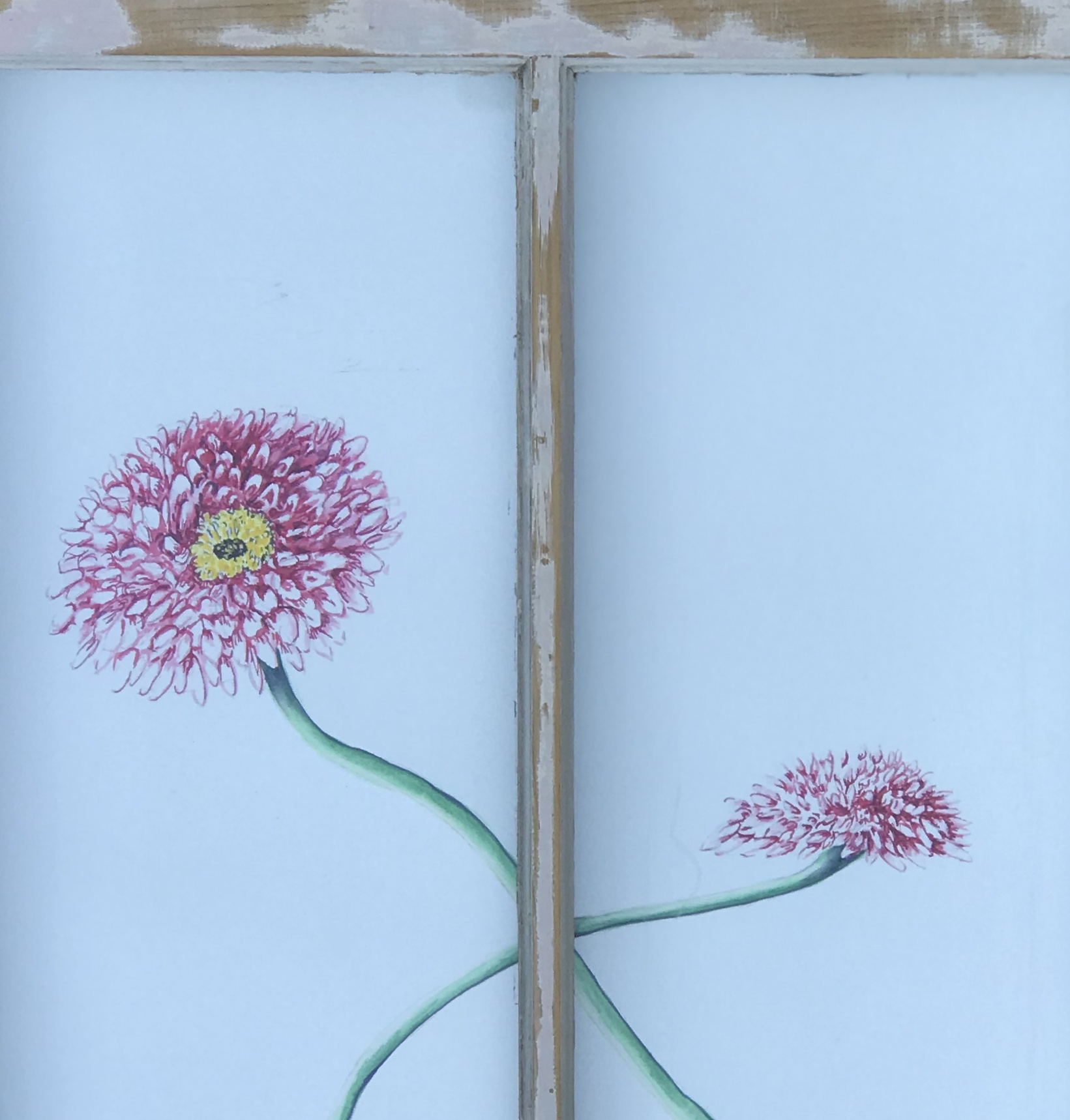 THRU THE WINDOW series "Zinnias in Love"(Out of Stock) - Image 2