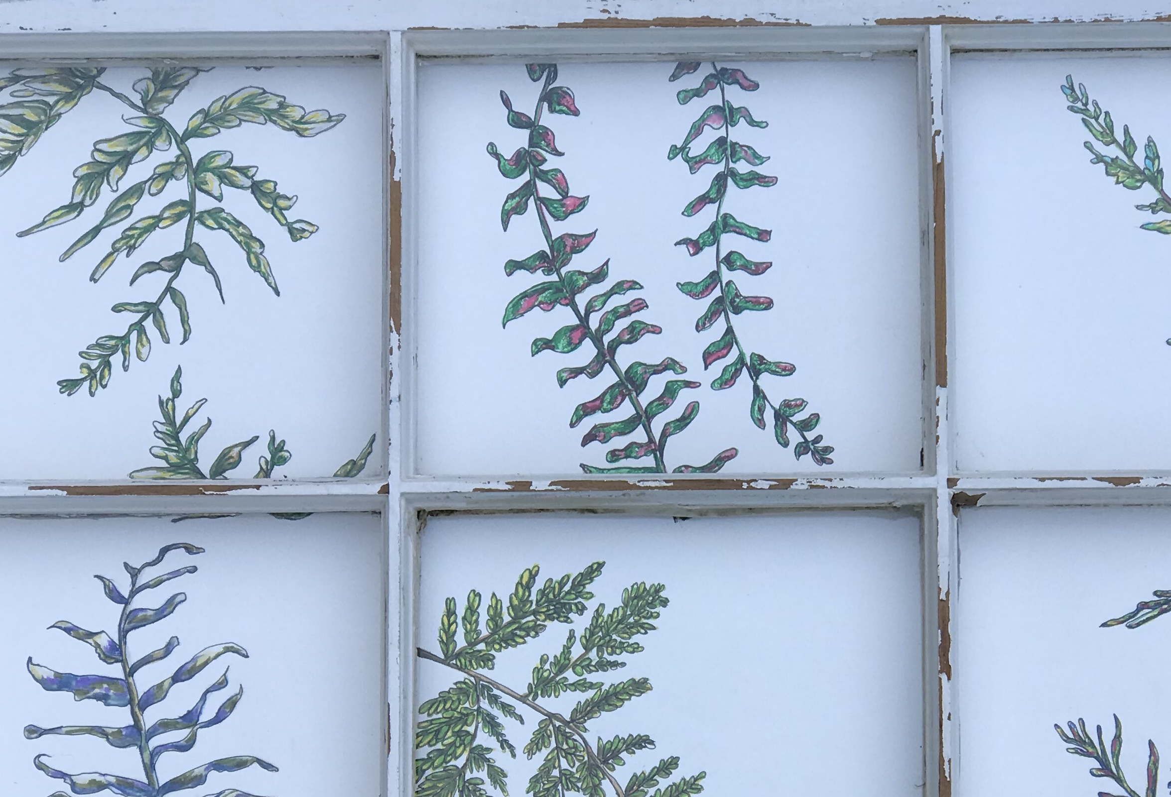 THRU THE WINDOW series "Dancing Ferns" (OUT OF STOCK) - Image 2