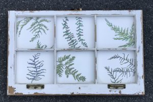 THRU THE WINDOW series "Dancing Ferns" (OUT OF STOCK)