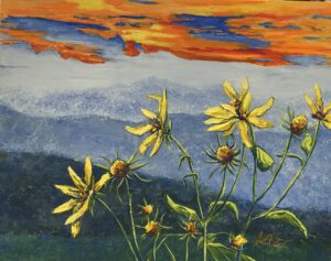 "Daisies at Sunset"