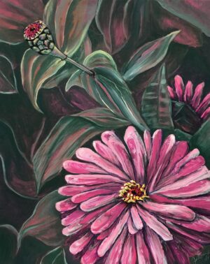 "Pink Zinnia"