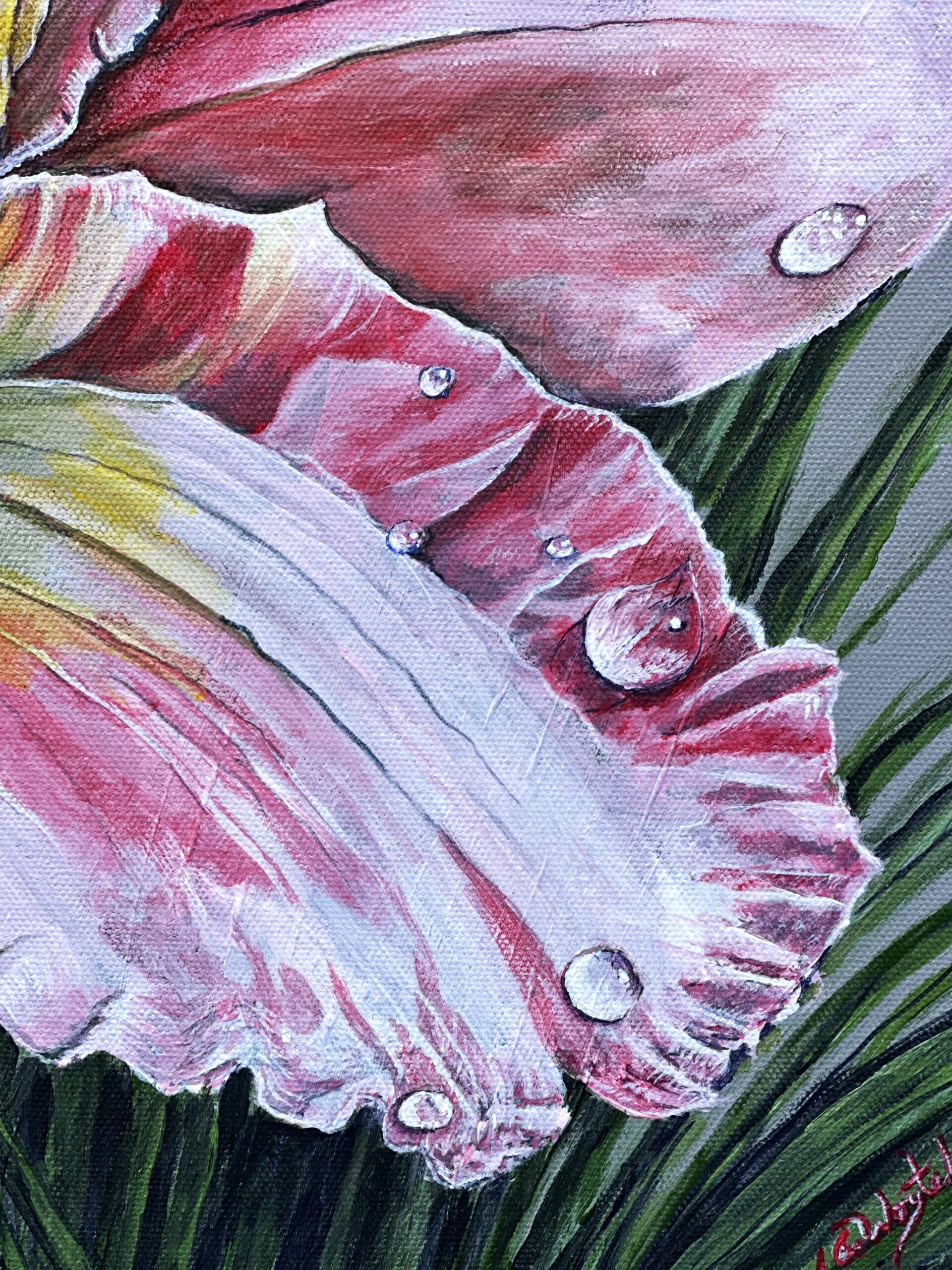 "Kissed by the Rain - Image 3