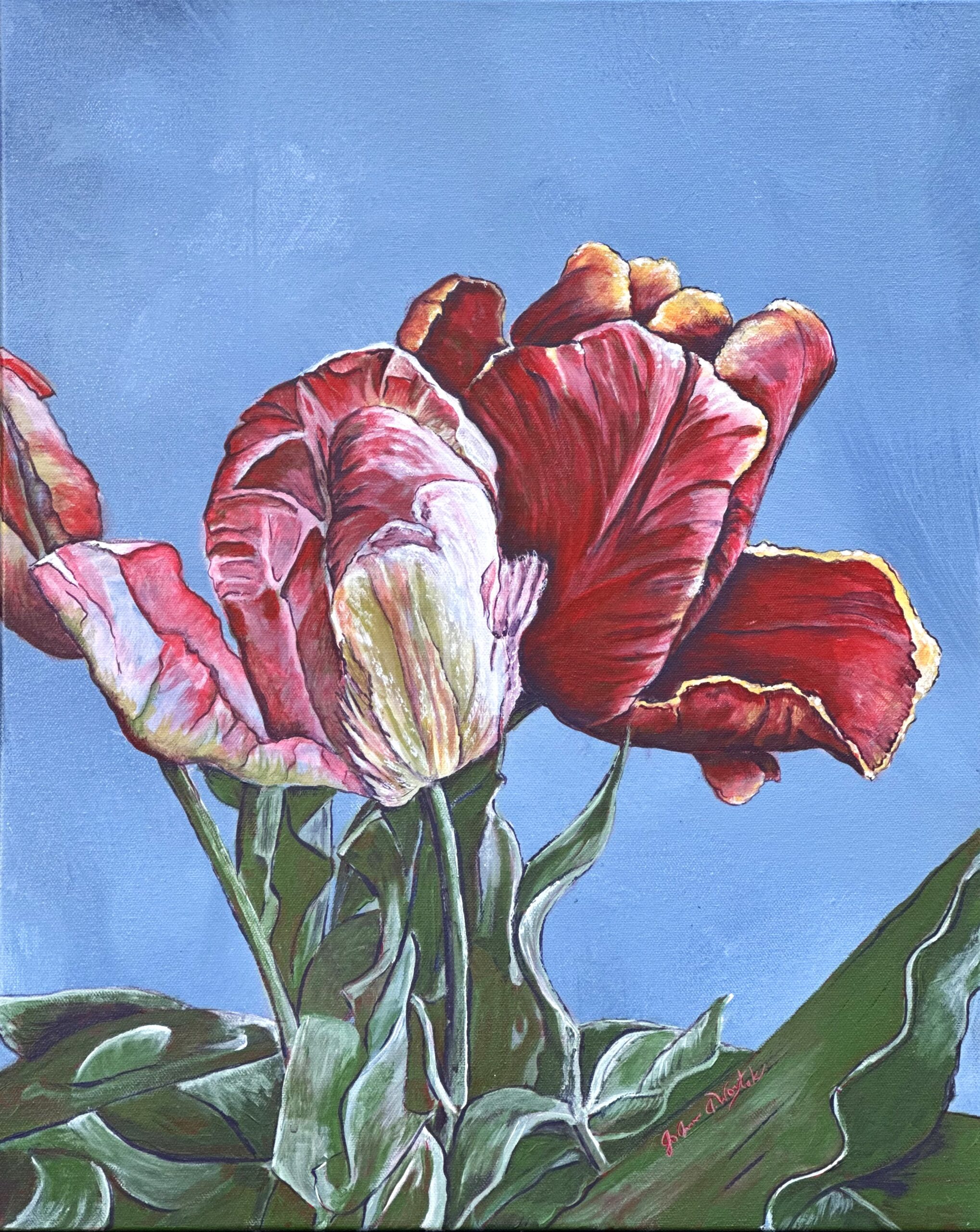 "Swaying Tulips"
