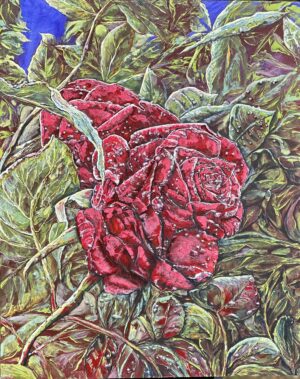 "LIQUID ROSE"