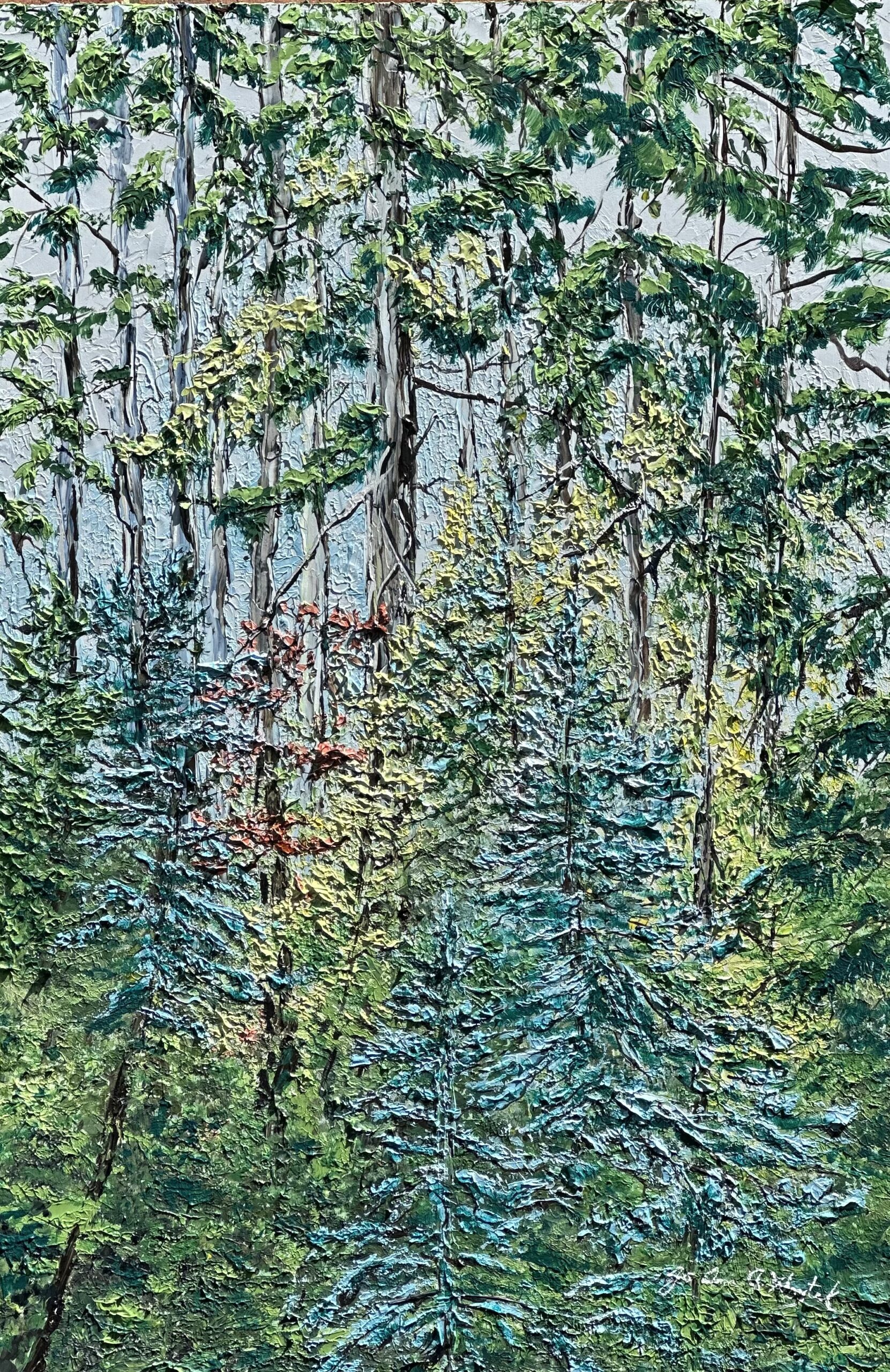 NEW "Light in the Forest"