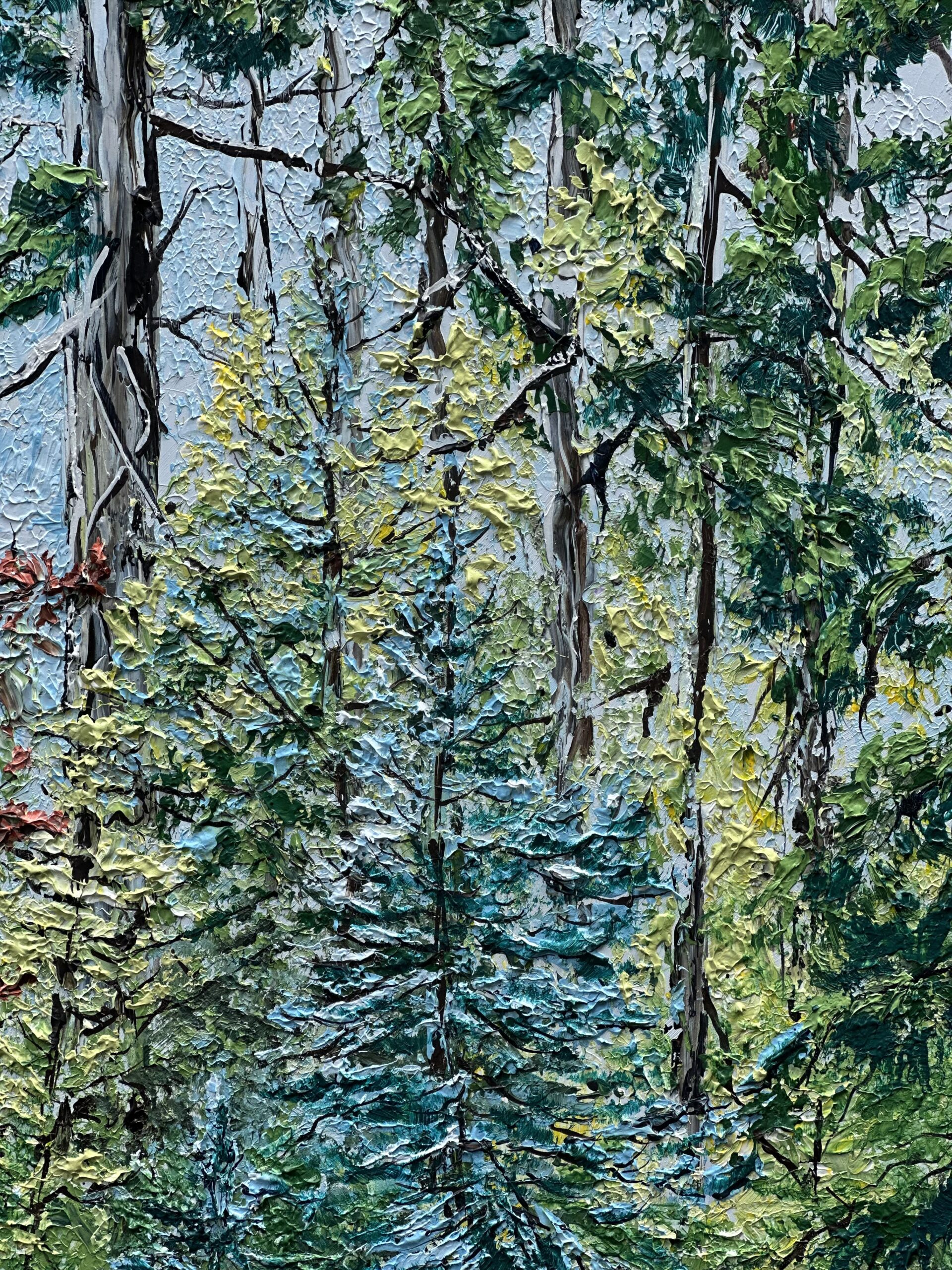 NEW "Light in the Forest" - Image 2